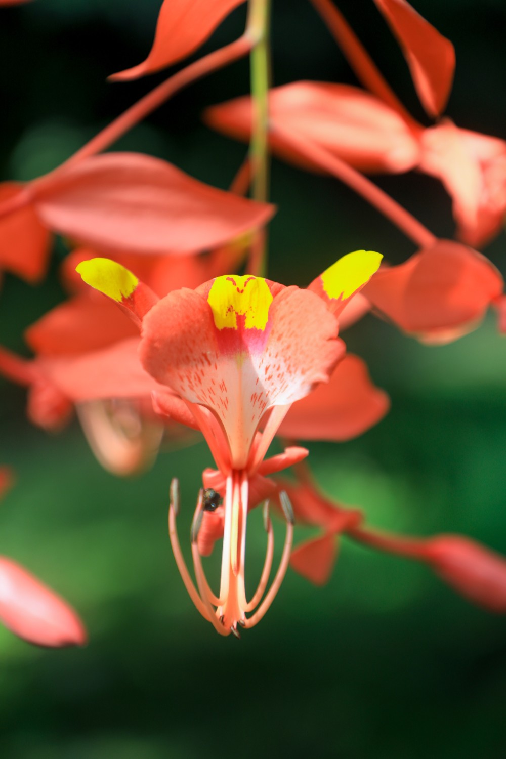 image_3