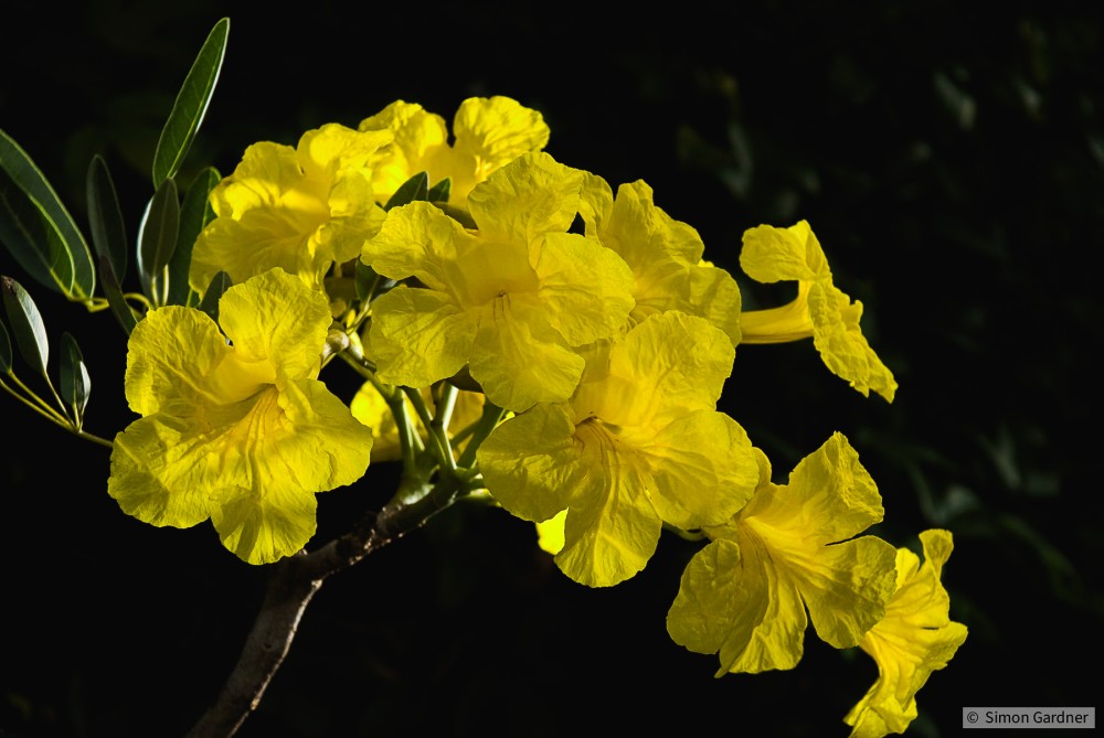 image_0