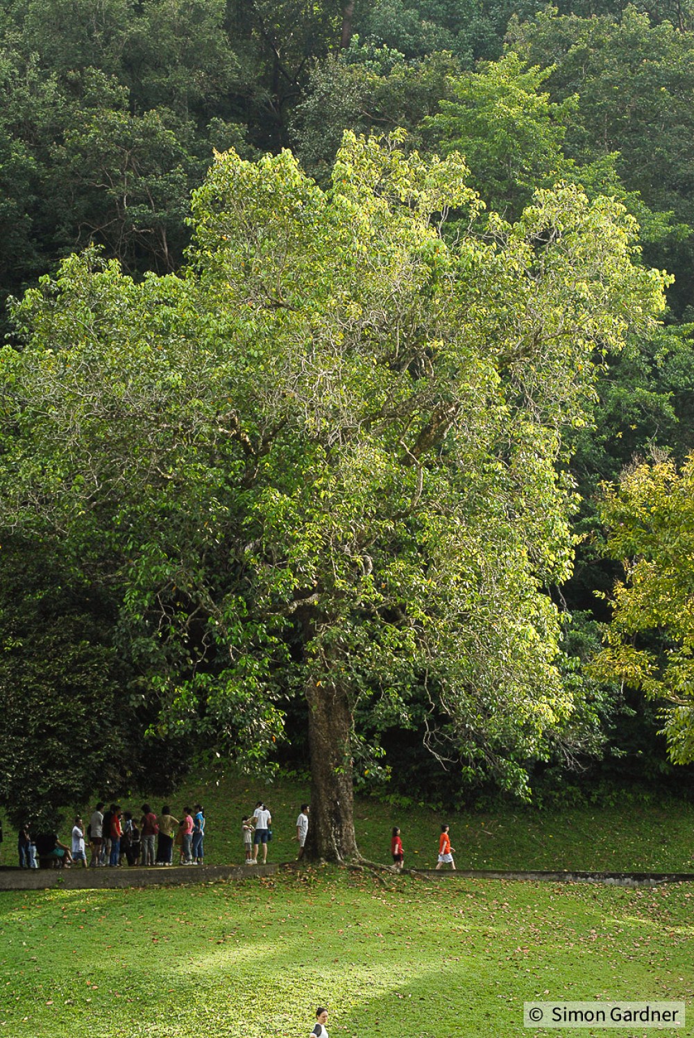 image_2